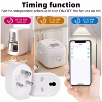 timer smart plug
