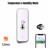 Temperature and Humidity Meter