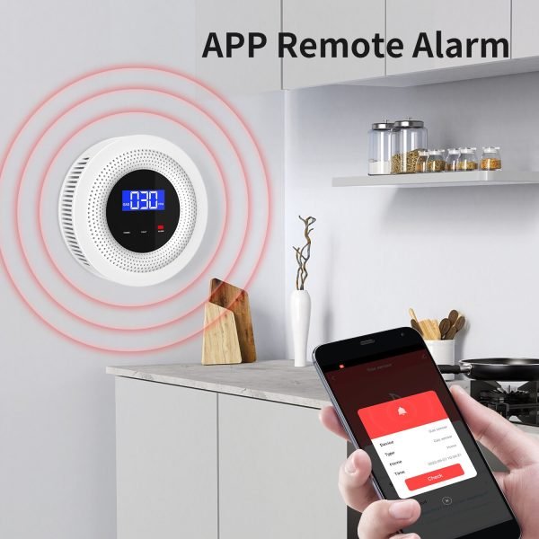 Gas Leak Alarm System