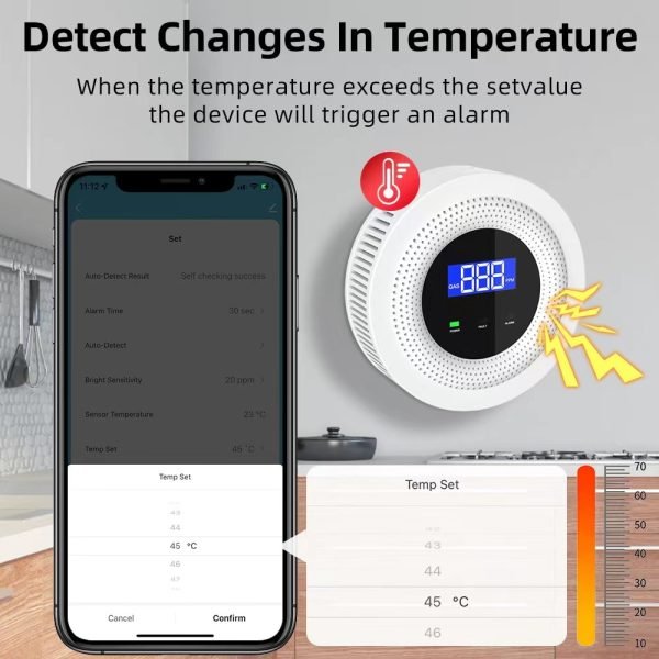 Gas Leak Alarm System