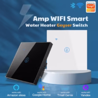 20Amp WIFI Smart Water Heater Switch price in Pakistan