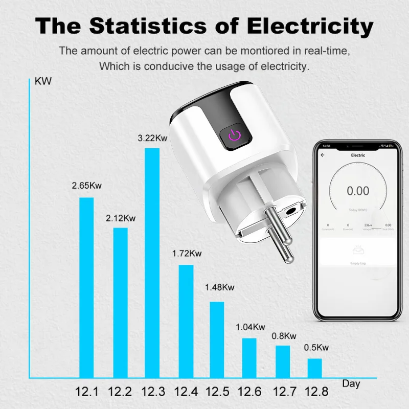 electricity meter plug