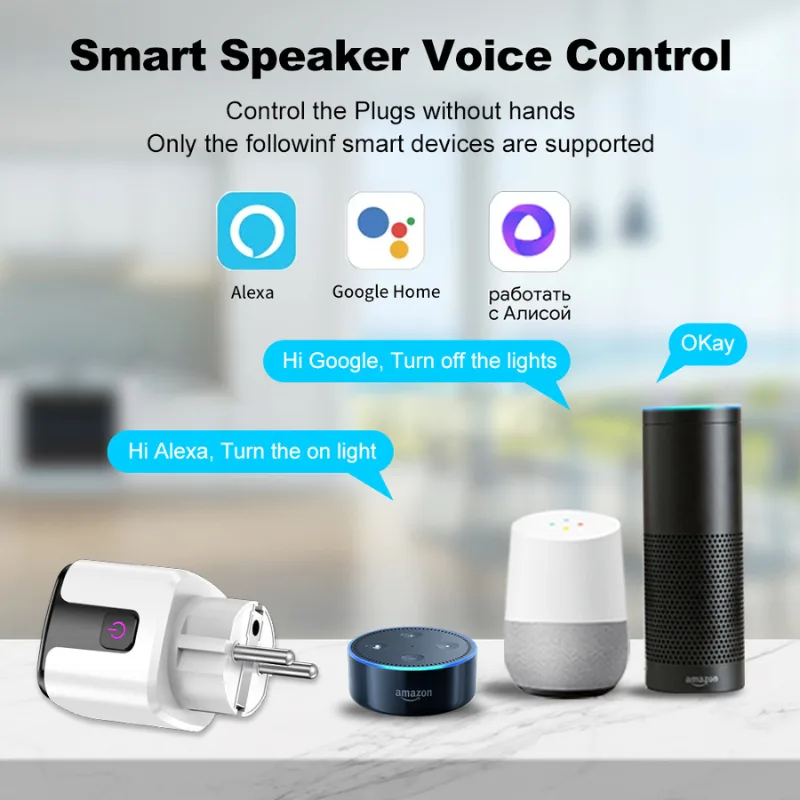 voice control plug